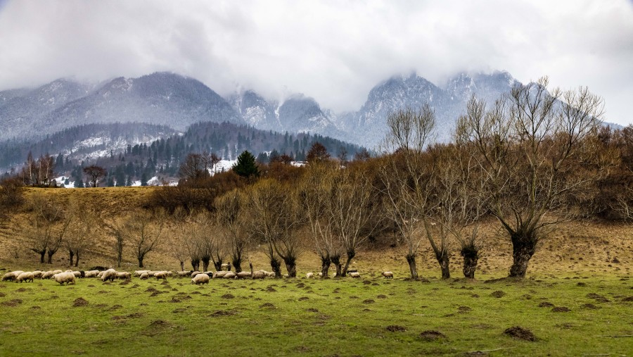 Behold the Romanian Alps