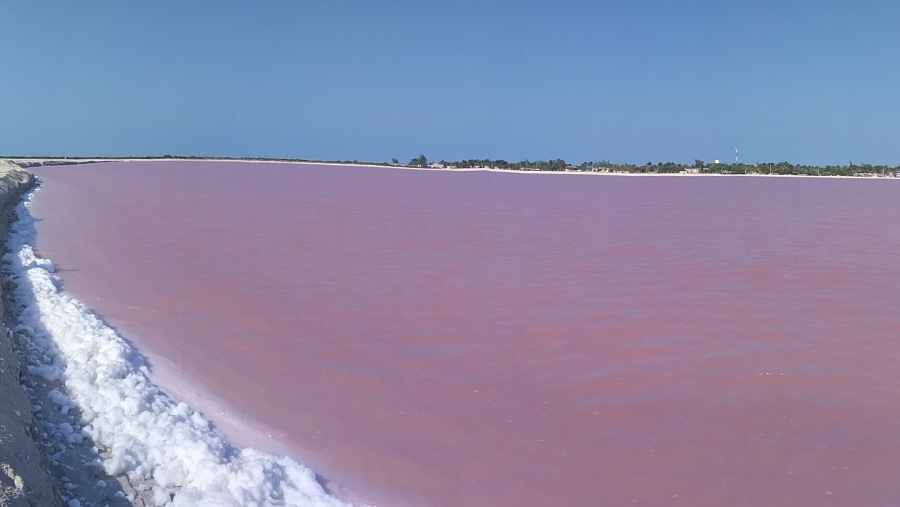 Pink Pools of Rio Lagartos