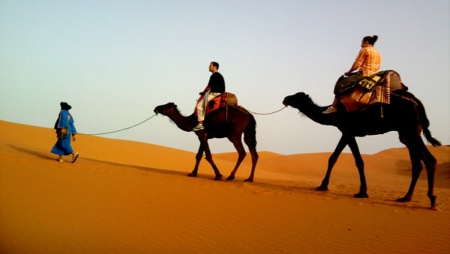 Camel ride in the Sahara desert