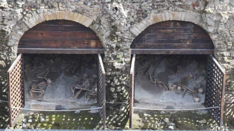 Skeletons of Herculaneum residents