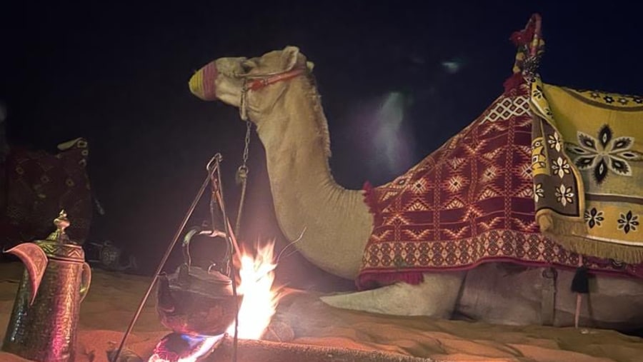 Camel riding at the Red Sands