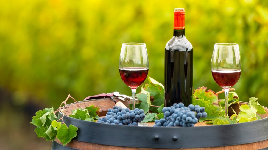 Wine Tour in Azerbaijan