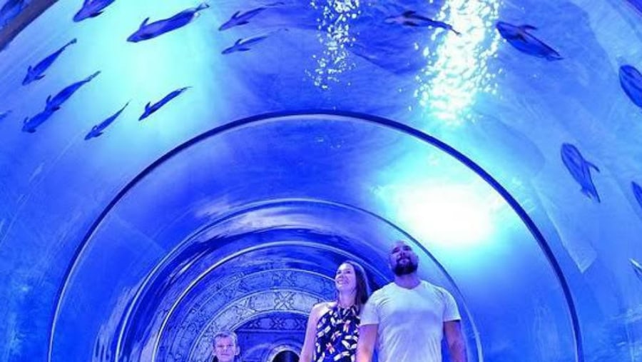 Hurghada Grand Aquarium