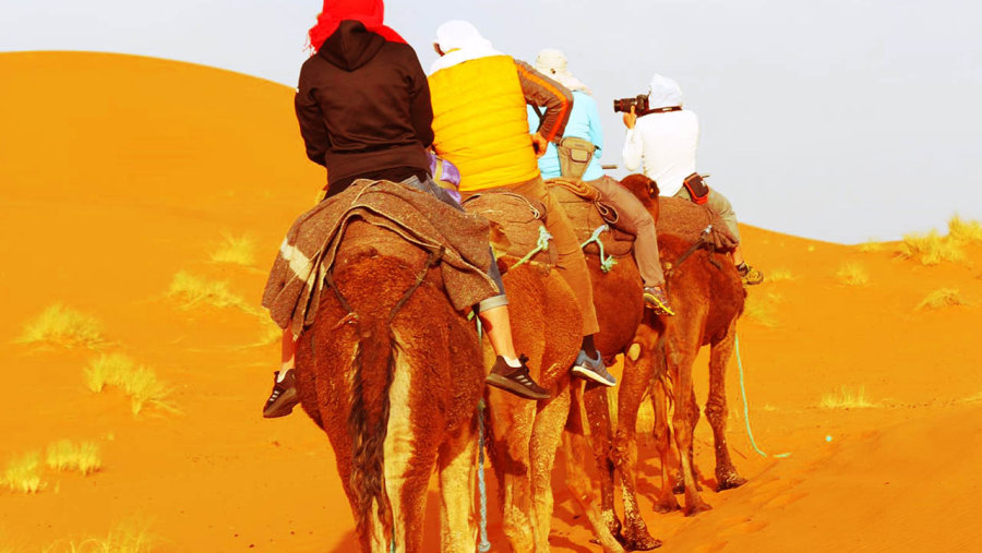 Tourists enjoying the camel ride