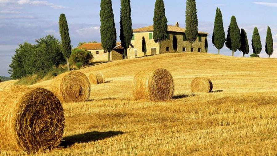 Tuscan Farm