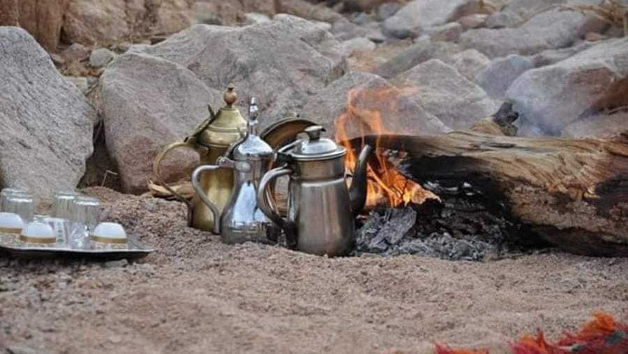 Have Bedouin Tea
