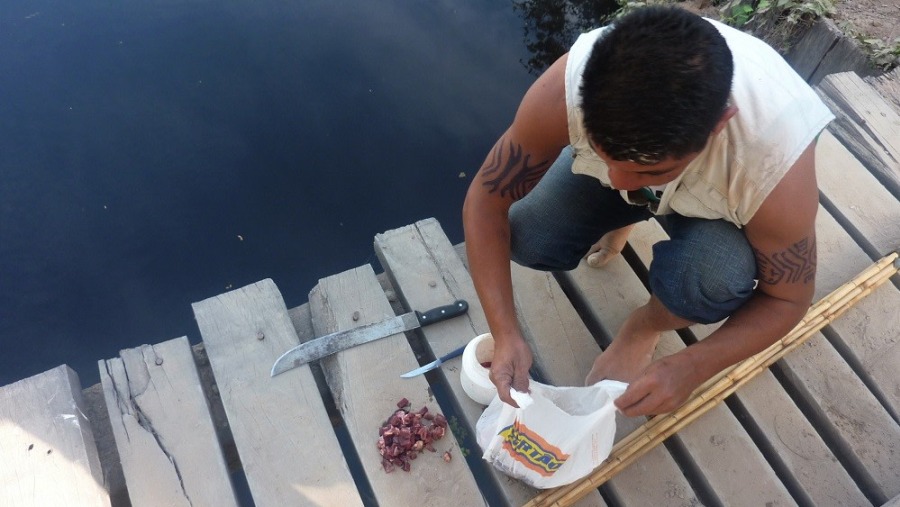 Piranha fishing, Pantanal