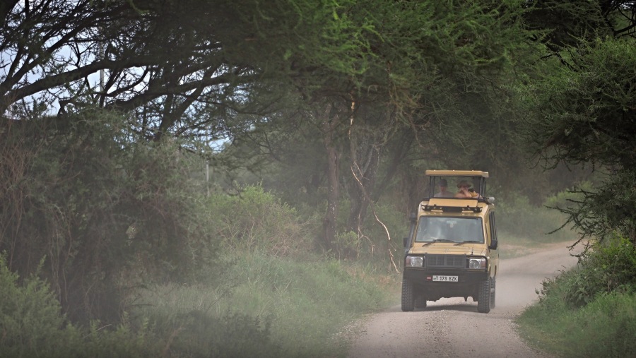 Safari in Tanzania