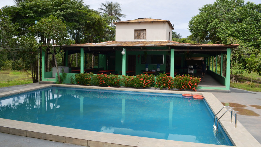 Relax at the pool