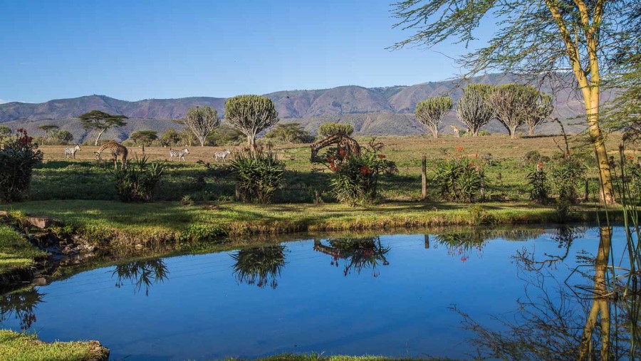 Abundant Serene Scenic Rift Valley