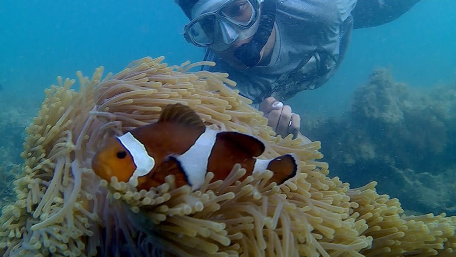 Underwater Explores at White Sand Island