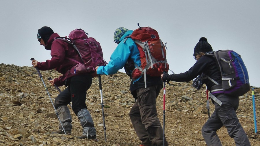 Travellers trekking to the Andean Summit