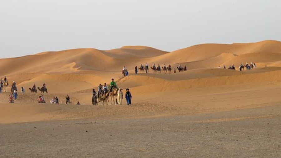 Camel ride in the desert