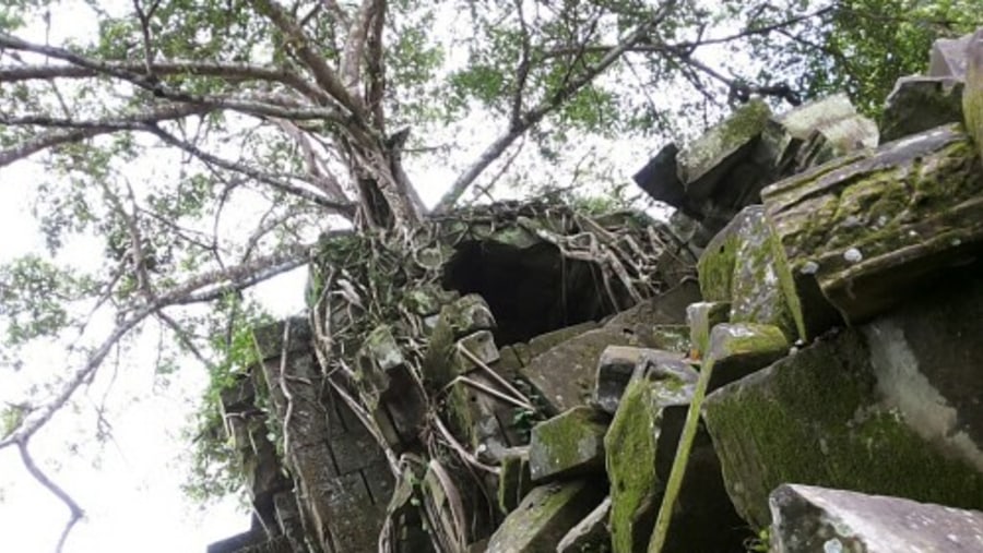 Beng Mealea Temple