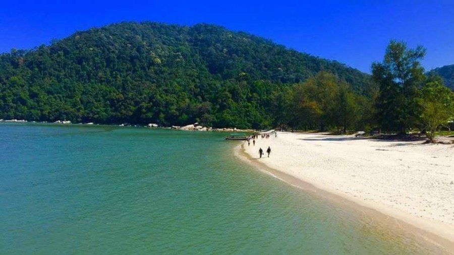 Penang National Park