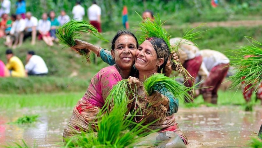 Female Farmers