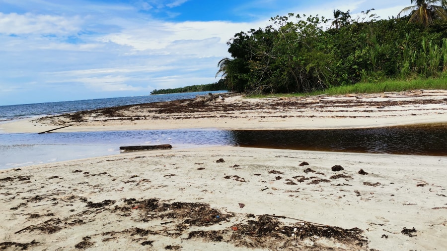 Puerto Viejo Beach