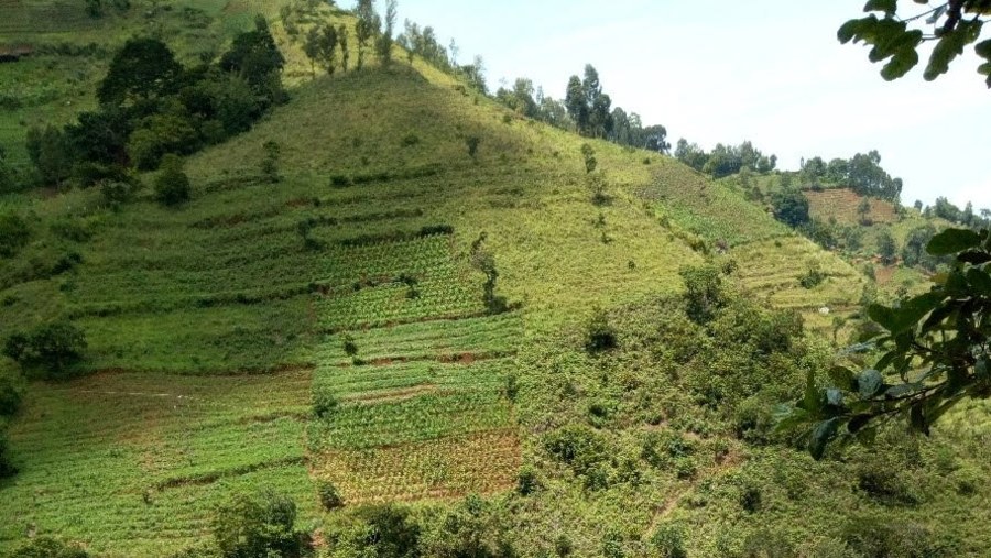 mountains scenery