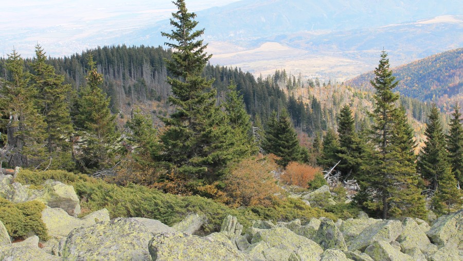 Vitosha Mountain