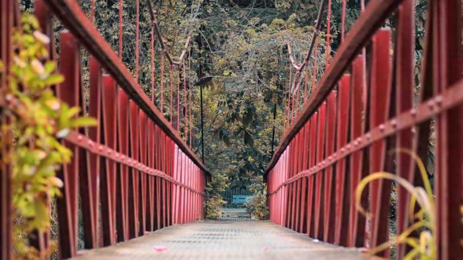 Visit the Bogor Botanical Gardens