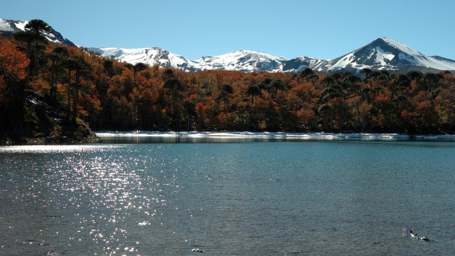 Laguna Cochor and Nevados de Sollipulli in the back