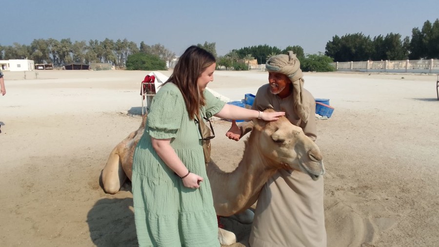 Royal Camel Farm