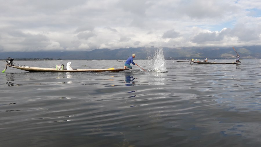 Fishing scenes