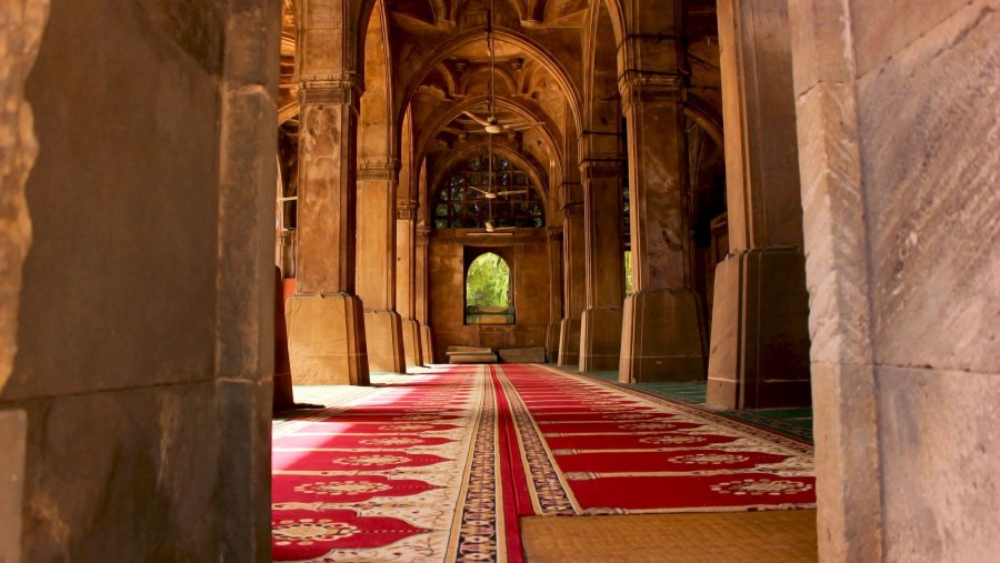 Visit Sidi Saiyyed Mosque