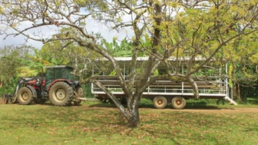 Tractor tour in banana fields