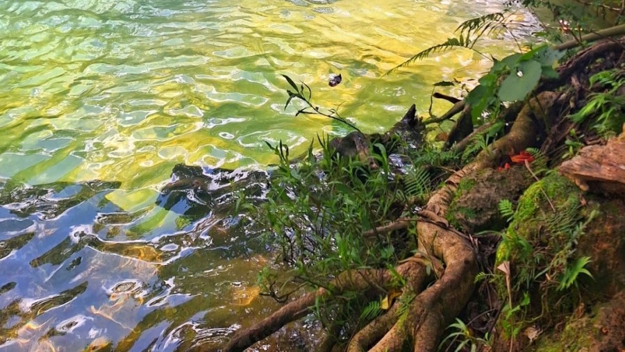 Colors of Day in El Nicho Waterfall