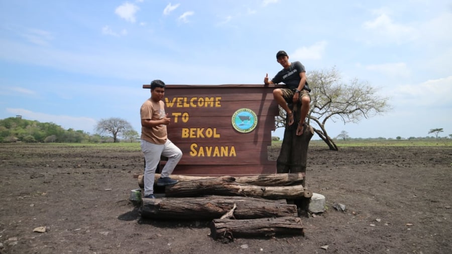 Mangrove Trail