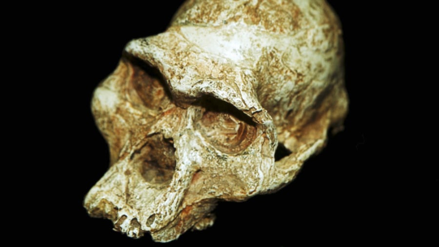 Cradle of Humankind