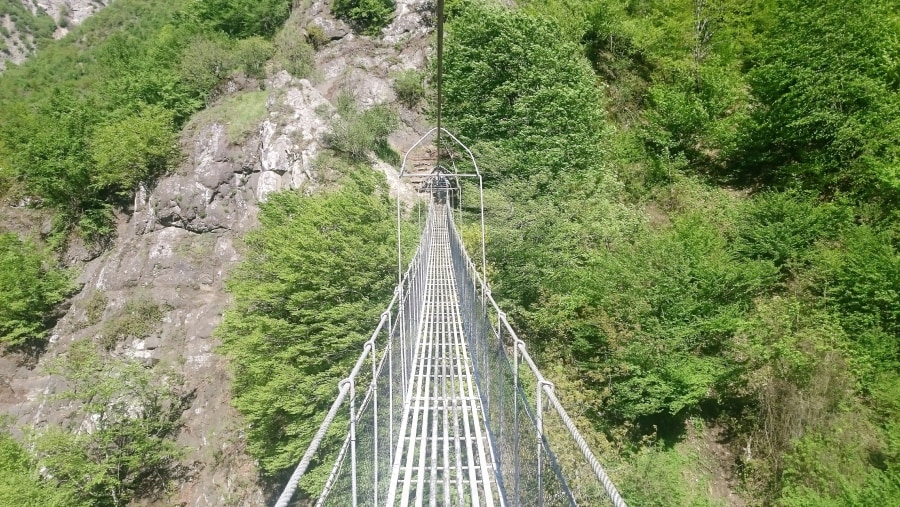 Suspended bridge