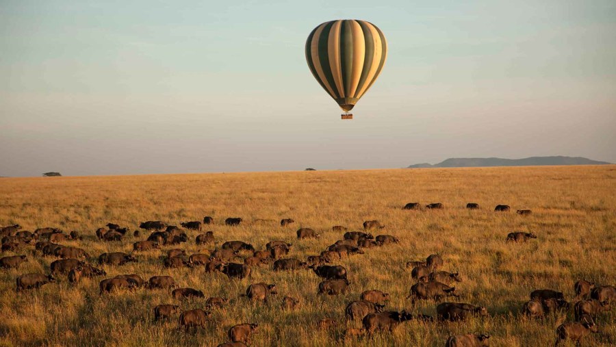 Hot air balloon ride at Serengeti