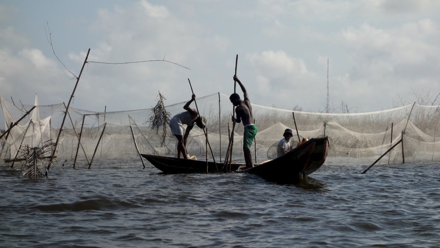 Fishing Nets, Benin