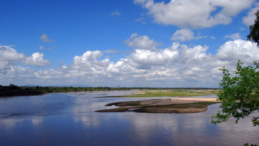 Go on a boat safari on the Rufiji River