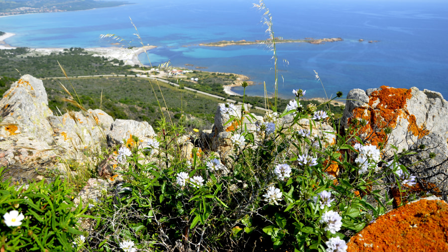 View From The Old Lighthouse