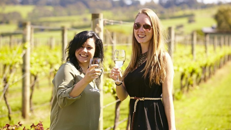 Wine tour -Yarra Valley