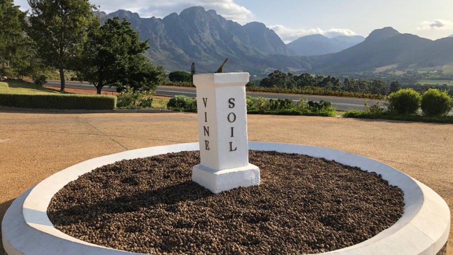 Take a wine tour of Cape Winelands