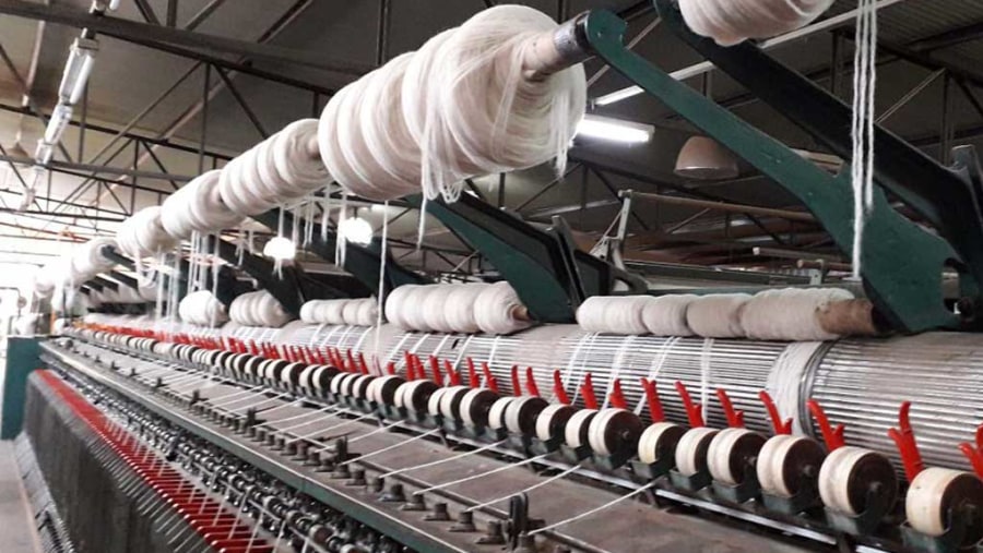 Alpaca wool production in Chile