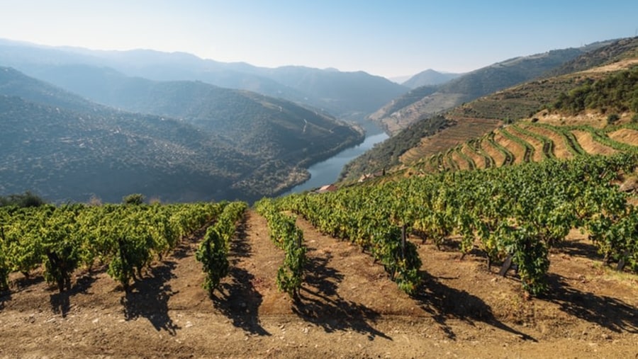 Enjoy a picnic in the Douro Valley