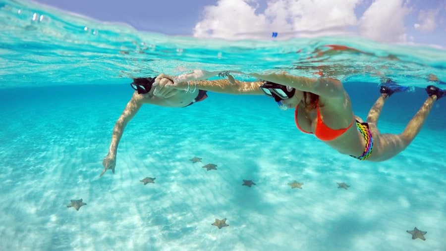 Snorkeling at Cozumel