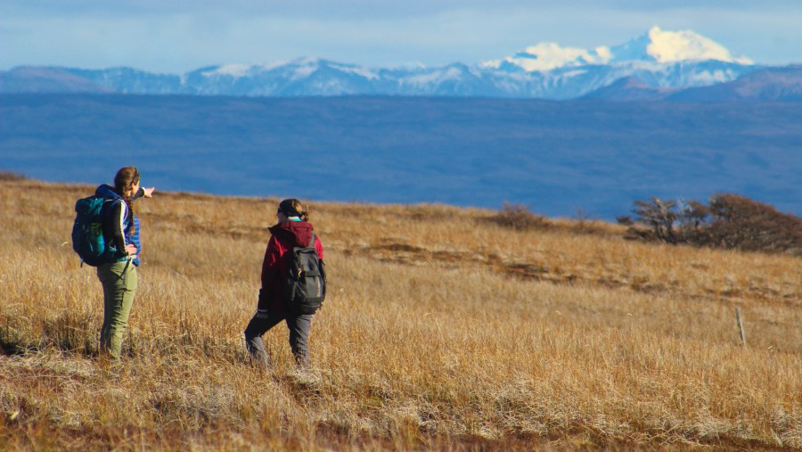 Travellers in Patagonian Forest