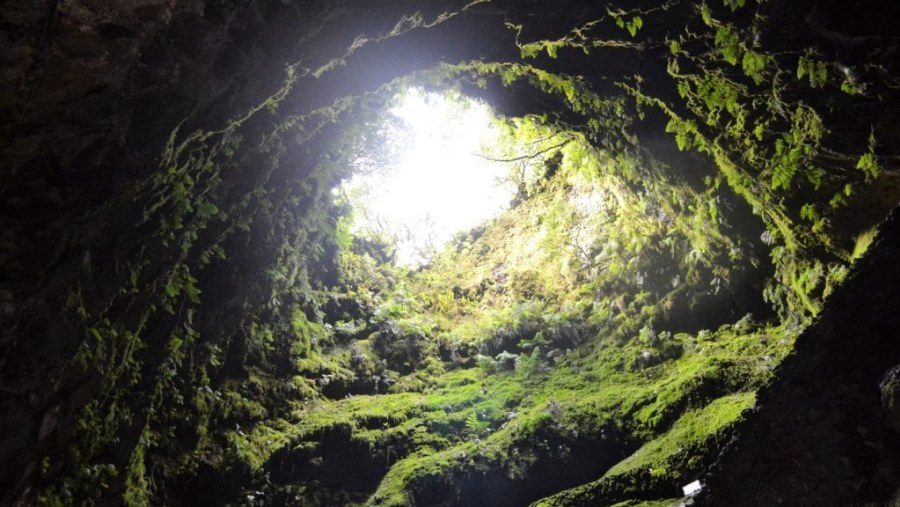 Exploring The Caves