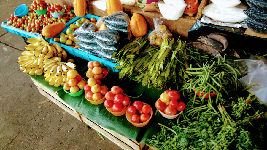 Our visit to the mercado