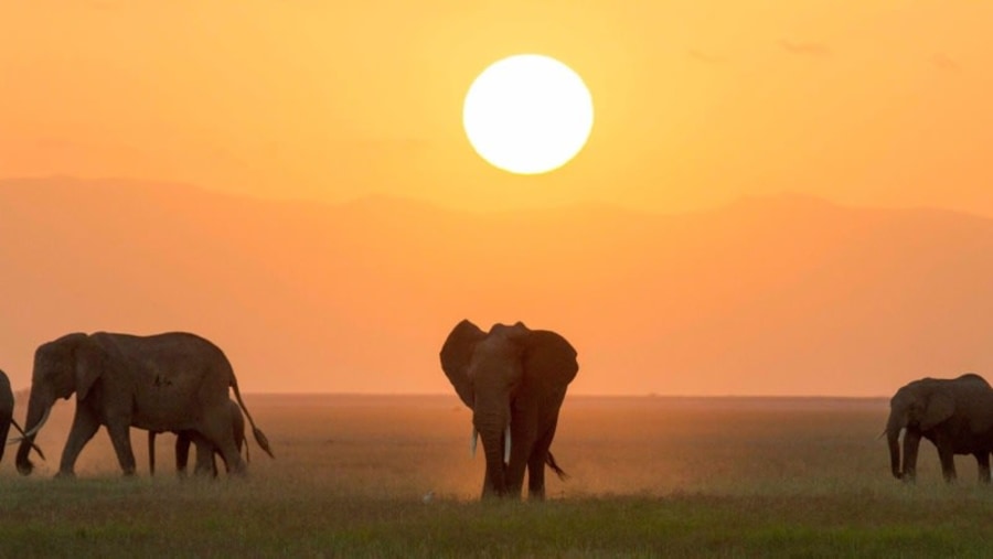 Tsavo West National Park