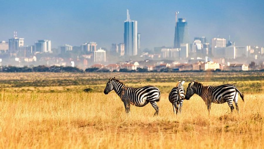 Nairobi National Park