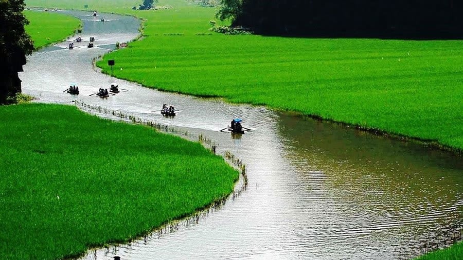 Get into rowing boats and visit the caves of Hoa Lu