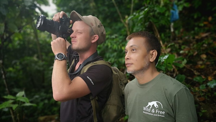 Bird Watching in North Sumatra