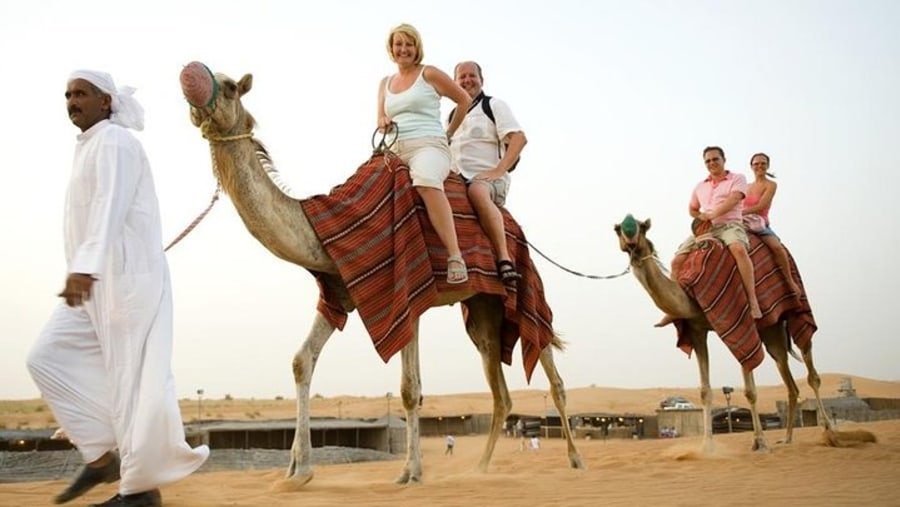 Camel Ride in Doha Desert